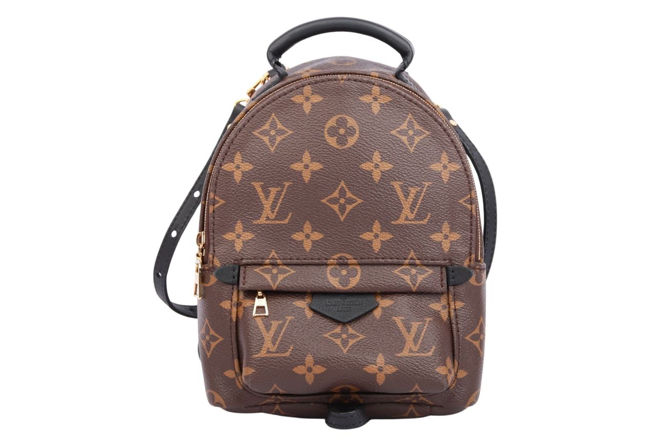 Louis Vuitton Palm Springs PM Rucksack Monogram Canvas
