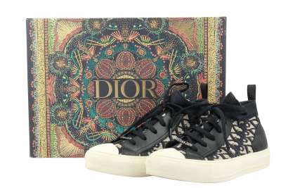 all star dior