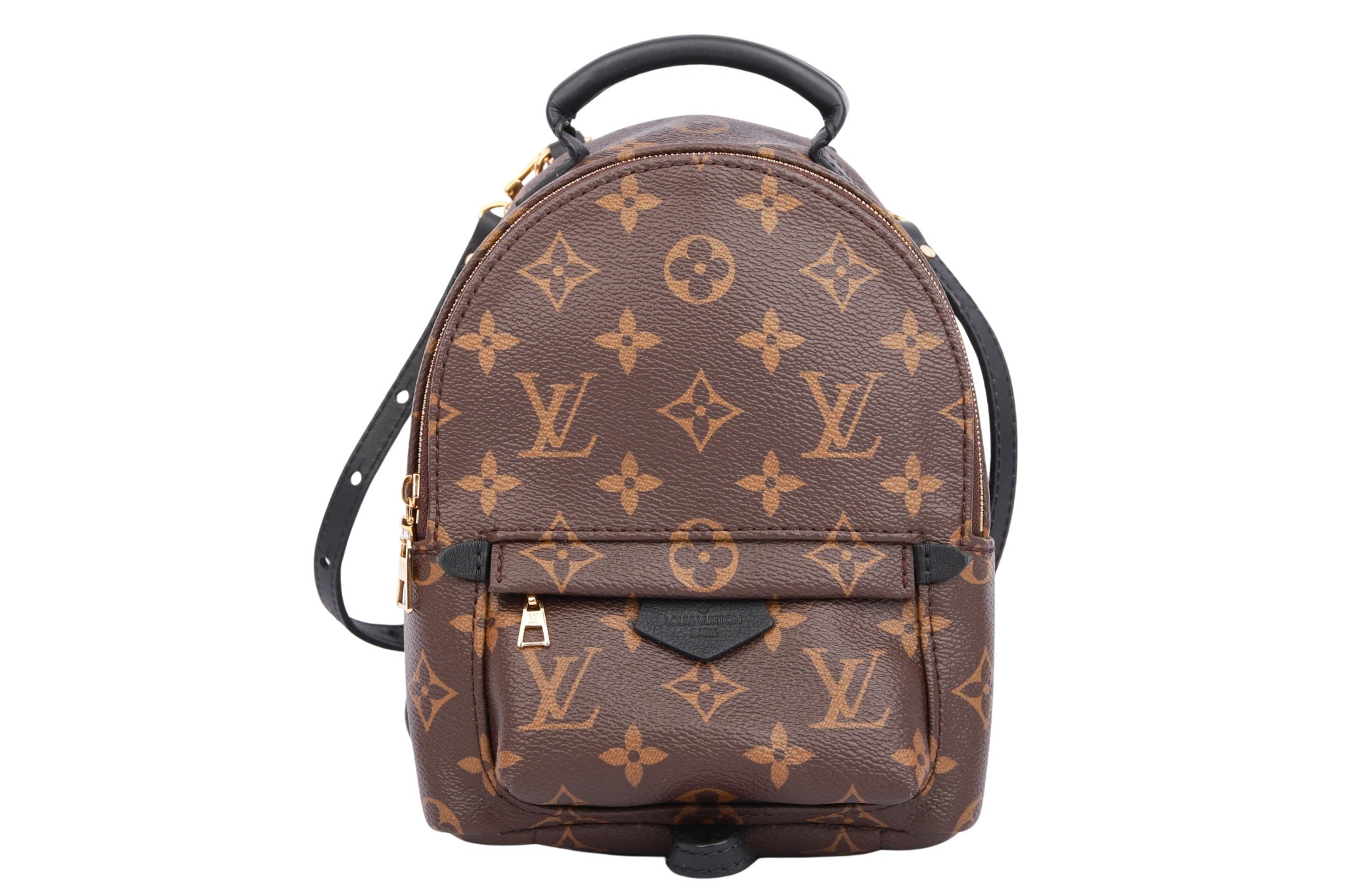 Louis Vuitton Palm Springs PM Rucksack Monogram Canvas